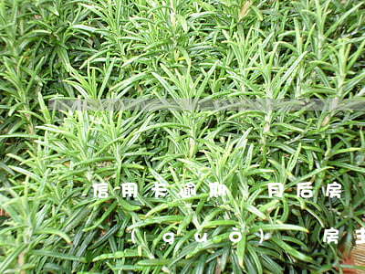信用卡逾期幾月后房產(chǎn)還可以過(guò)戶 房主有信用卡逾期可以進(jìn)行房子過(guò)戶嗎