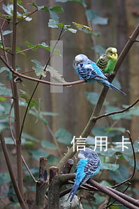 信用卡逾期幾期后銀行起訴