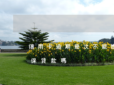 信用卡逾期幾次不能擔保(信用卡有逾期能擔保貸款嗎)