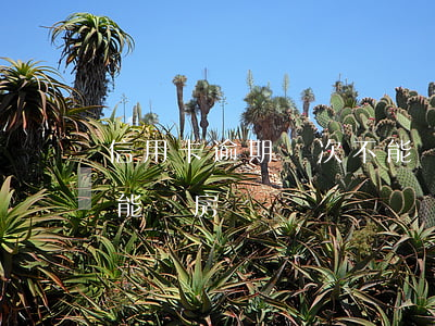 信用卡逾期幾次不能買房(信用卡逾期幾次不能買房)