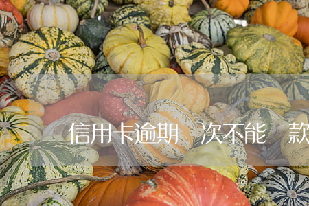 信用卡逾期幾次不能貸款