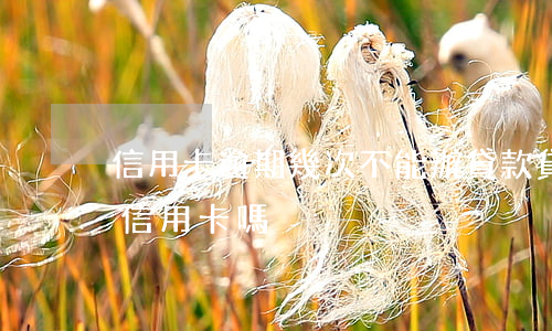 信用卡逾期幾次不能辦貸款(貸款逾期了能辦信用卡嗎)
