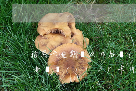 信用卡逾期幾次以后會(huì)降額度或者凍結(jié)卡片-信用卡逾期幾次以后會(huì)降額度或者凍結(jié)卡片嗎