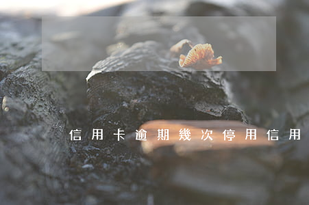 信用卡逾期幾次停用(信用卡逾期幾次停用)