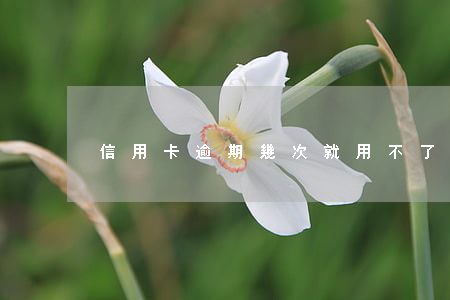 信用卡逾期幾次就用不了啦