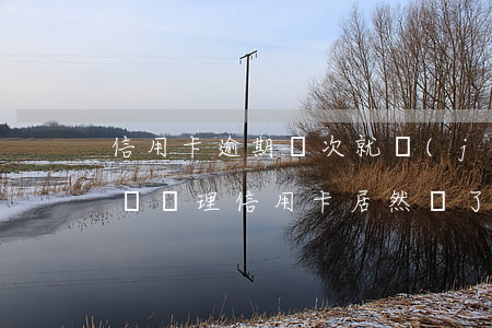信用卡逾期幾次就進(jìn)黑名單(黑名單辦理信用卡居然過了)