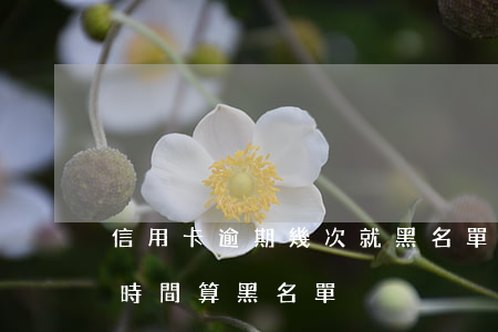 信用卡逾期幾次就黑名單了(信用卡逾期多長時間算黑名單)