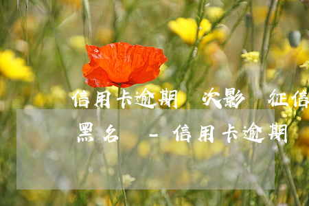信用卡逾期幾次影響征信,會(huì)記入黑名單-信用卡逾期幾次影響征信,會(huì)記入黑名單嗎