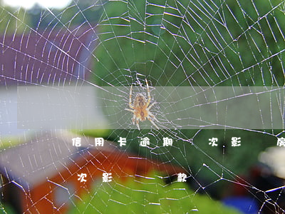 信用卡逾期幾次影響房屋貸款嗎(房貸逾期幾次影響貸款)