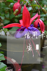 信用卡逾期幾次影響房貸(信用卡發(fā)生過一次逾期,會(huì)影響申請(qǐng)房貸款嗎)