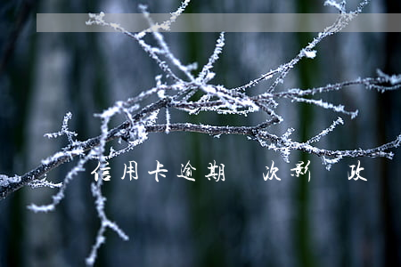 信用卡逾期幾次影響政審嗎