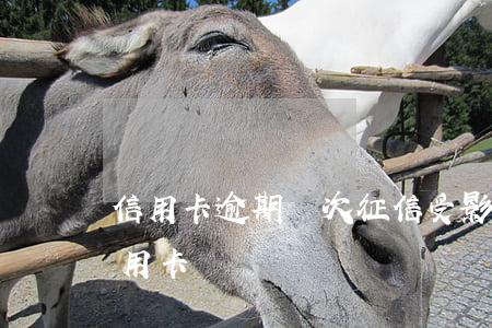 信用卡逾期幾次征信受影響(逾期一次影響信用卡)