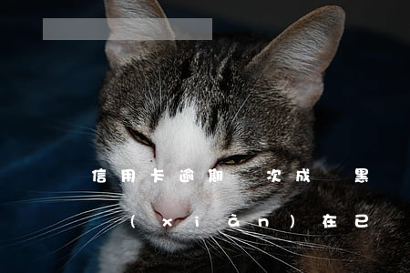 信用卡逾期幾次成為黑戶(信用卡逾期一點年,現(xiàn)在已還清會變黑戶嗎)