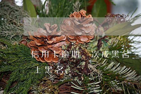 信用卡逾期幾次成黑名單了嗎(征信逾期幾次上黑名單)
