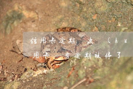 信用卡逾期幾次會(huì)被停(為什么信用卡沒有逾期被停了?)