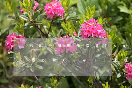 信用卡逾期幾次會(huì)被黑名單(逾期幾次會(huì)上征信黑名單)