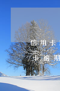 信用卡逾期幾次會(huì)黑戶嗎(欠信用卡逾期多久后會(huì)黑名單)