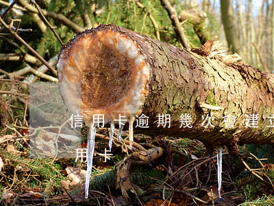 信用卡逾期幾次會建立檔案(逾期一次影響信用卡)