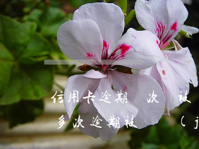 信用卡逾期幾次會被凍結(jié)(信用卡多次逾期被凍結(jié))