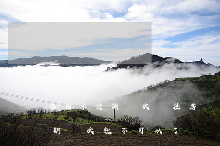 信用卡逾期幾次無法房貸(貸款買房信用卡逾期幾次就不可以了)