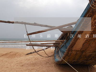 信用卡逾期幾次能消除(信用卡逾期一次多久消除征信)