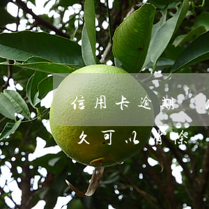 信用卡逾期幾次能消除(有信用卡逾期記錄多久可以消除)
