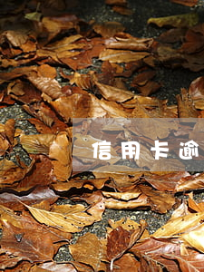 信用卡逾期幾次被列為黑名單