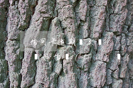 信用卡逾期幾次計(jì)入征信名單-查詢征信發(fā)現(xiàn)有一次信用卡逾期有什么影響