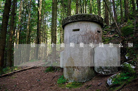信用卡逾期幾毛錢怎么辦（信用卡逾期幾毛）