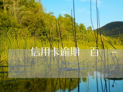 信用卡逾期幾百億-幾千塊信用卡逾期