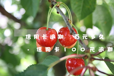 信用卡逾期幾百元多久會(huì)上征信-信用卡100元逾期6天上征信嗎?