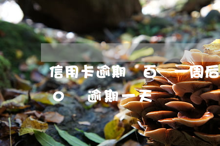 信用卡逾期幾百塊一周后還(信用卡20000塊逾期一天)