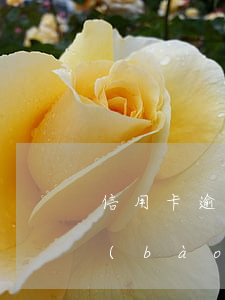 信用卡逾期幾百塊錢會(huì)上征信報(bào)告-信用卡逾期幾百塊錢會(huì)上征信報(bào)告嗎