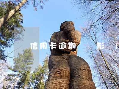 信用卡逾期幾種形態(tài)