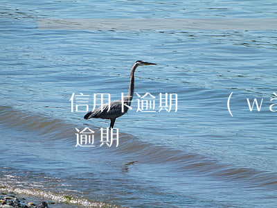 信用卡逾期幾萬(wàn)塊(幾千塊信用卡逾期)