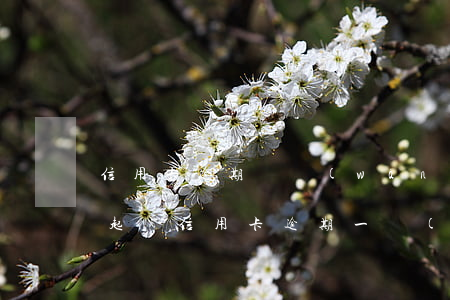 信用卡逾期幾萬(wàn)才會(huì)起訴(信用卡逾期一萬(wàn)五多久會(huì)被起訴)