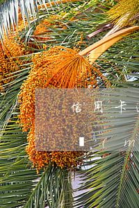 信用卡逾期幾萬(wàn)確實(shí)沒(méi)錢還怎么解決-信用卡逾期幾萬(wàn)確實(shí)沒(méi)錢還怎么解決呢