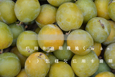 信用卡逾期幾萬(wàn)被催收會(huì)怎樣(欠信用卡逾期3個(gè)月以上,銀行催收怎么辦?)