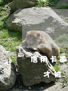 信用卡逾期幾萬才被銀行起訴（信用卡逾期幾萬才被銀行起訴）