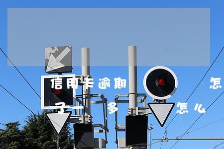 信用卡逾期幾萬沒錢還怎么解決(信用卡逾期了一萬多沒錢還怎么辦)