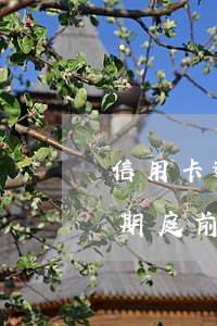 信用卡逾期庭前調解無法按期還款(信用卡逾期庭前調解無法按期還款嗎)