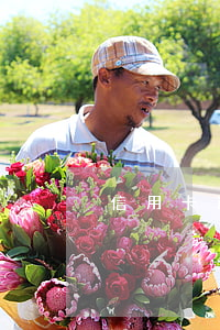 信用卡逾期庭外调解要律师吗