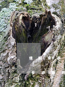 信用卡逾期庭審心得(法院對(duì)信用卡逾期的看法)