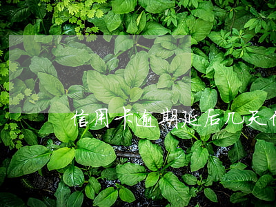 信用卡逾期延后几天(信用卡 晚几天)