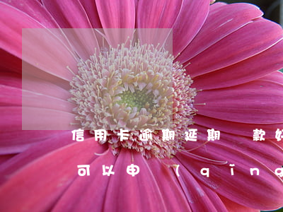 信用卡逾期延期還款好申請(qǐng)不(可以申請(qǐng)延期還信用卡嗎)