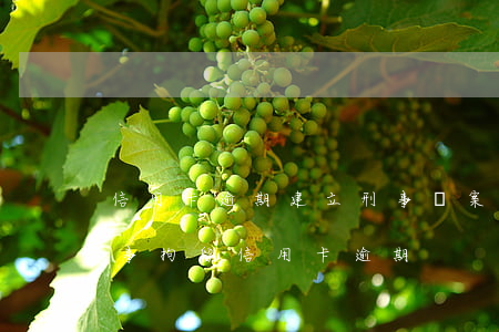 信用卡逾期建立刑事檔案會坐牢嗎(因為被刑事拘留信用卡逾期)