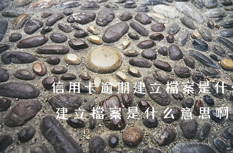 信用卡逾期建立檔案是什么意思(信用卡逾期建立檔案是什么意思啊)