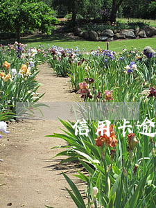 信用卡逾期建立檔案會(huì)怎樣
