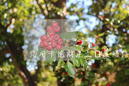 信用卡逾期建立檔案短信(信用卡逾期短信)