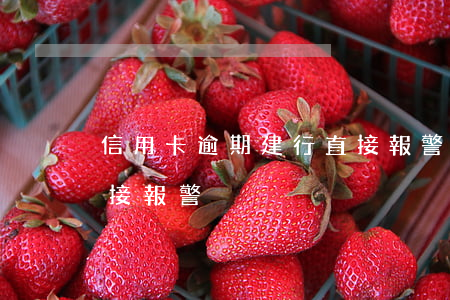 信用卡逾期建行直接報警(信用卡逾期建行直接報警)